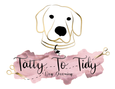 tatty to tidy site logo